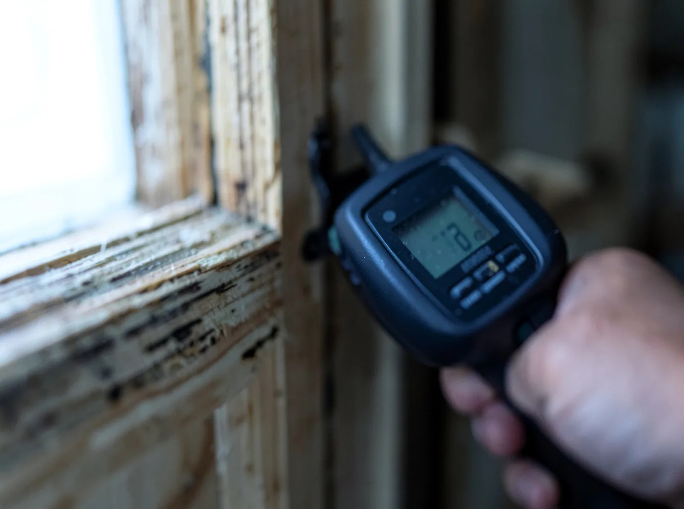 Commercial Water Damage Restoration in Peterson, IA